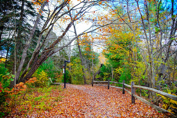 Lexington, Massachusetts, USA: 10 25 2025: The fall foliage red leaf landscape Minute Man National Historical Park at Massachusetts, USA. It commemorates the battle in the American Revolutionary War