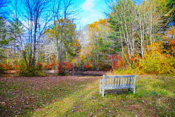Lexington, Massachusetts, USA: 10 25 2025: The fall foliage red leaf landscape Minute Man National Historical Park at Massachusetts, USA. It commemorates the battle in the American Revolutionary War