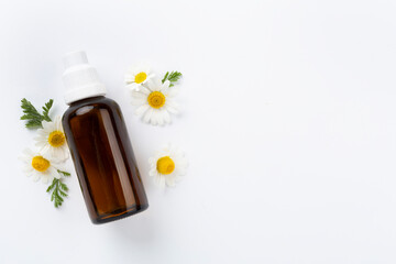 Fresh chamomiles with medicines on color background, top view