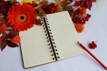 A notebook, autumn leaves and a gerbera flower on a white background. Background for greetings and postcards. © Olirina
