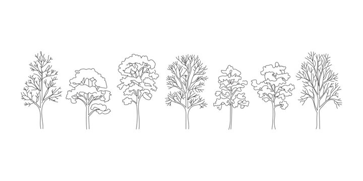 Collection of hand drawn sketchy trees in a row on white background