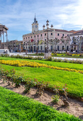 The pink-hued, clock-towered Alcalá City Hall provides a backdrop to the Plaza de Cervantes's formal gardens, featuring rows of yellow flowers, green grass, and pollarded plane trees