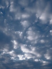 Patchy altocumulus pattern with gentle light and pastel tones