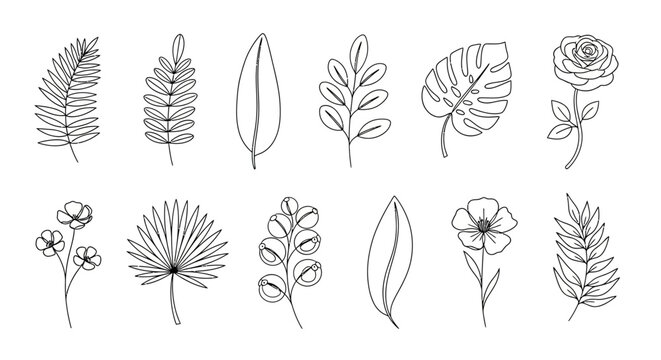 A versatile collection of minimalist botanical line art drawings. This set features elegant floral and leaf outline graphic elements for design