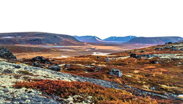 Vast Autumnal Tundra Landscape with Distant Hills
