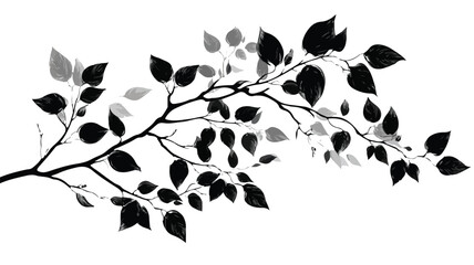 Naklejka premium Elegant Black Tree Branch with Leaf on White Background Vector