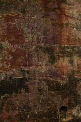 Surface texture of rusted metal showing detailed corrosion patterns and natural weathering.