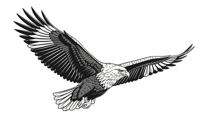 Obraz premium Abstract geometric shapes with flowing curves and organic elements