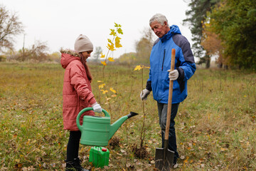 Fototapeta premium A child holds a watering can while planting a small tree in a grassy area with an adult. They are enjoying an autumn day surrounded by falling leaves