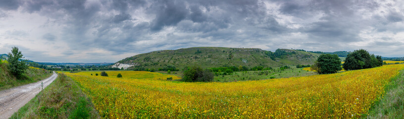 A panoramic landscape near Oleshiv, Ivano-Frankivsk Oblast, Ukraine. A dirt road passes a field of ripening yellow soybeans, with the 