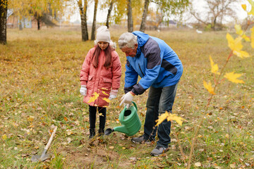 A grandfather is teaching his granddaughter how to plant a young tree while enjoying the colorful...
