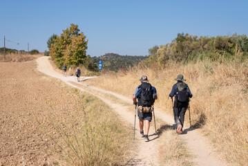 Fototapeta premium Way of St. James. Pilgrims on the way to Estella