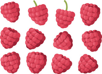 Fresh raspberry fruit collection, juicy red berries, organic healthy food vector illustration design
