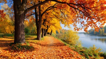 Fototapeta premium Autumn trees lining path by river with colorful foliage