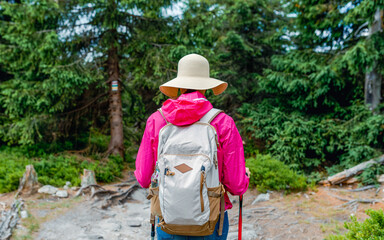 Rear view of a woman hiker in a wide-brim sun hat and pink jacket with backpack and trekking poles...
