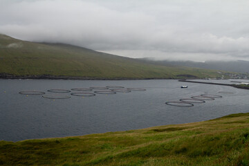 Salmon farms in the fjords of the Faroe Islands.