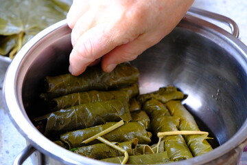 Close-up of a woman's hand arranging homemade stuffed vine leaves in a pot. Ready-to-cook stuffed vine leaves in a pot. Traditional Turkish cuisine. Home cooking.
