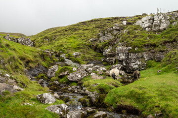 A beautiful waterfall along the hiking path to Witch’s Finger (Traelanípan), Faroe Islands, surrounded by rugged terrain.