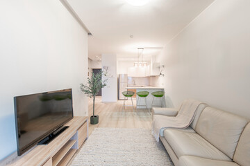 Modern Home Living Room. Luxurious Stylish Modern Apartment. Open Interior, Scandinavian Design.