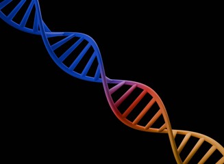 Abstract DNA Strand colorful 3d render / Genetic Code Structure / DNA Helix