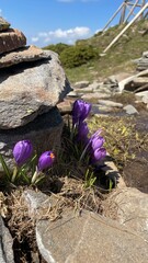 hiking in the mountains