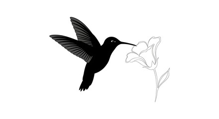 Obraz premium Hummingbird In Flight and Flower Silhouette Isolated Vector