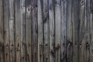 wood texture in high contrast and good resolution	