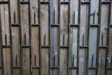 wood texture in high contrast and good resolution	