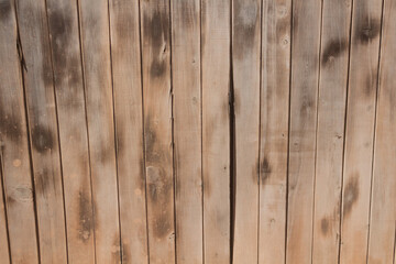 wood texture in high contrast and good resolution	