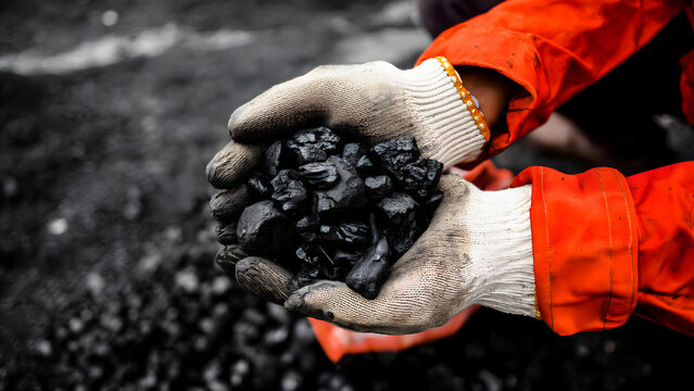 Close-up of worker holding coal in hands