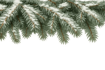 Fir tree branch with snow, creating a festive winter border, isolated on transparent background for christmas design