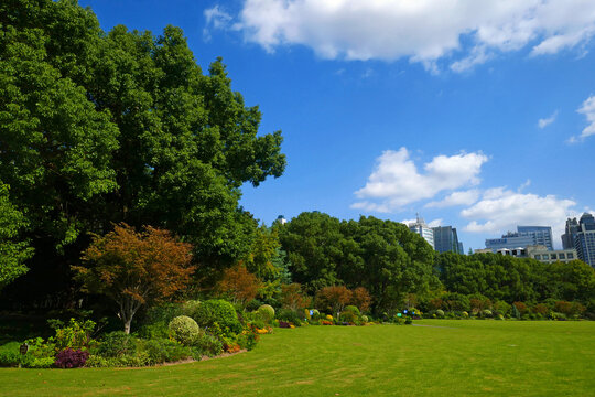 Park in Shanghai
