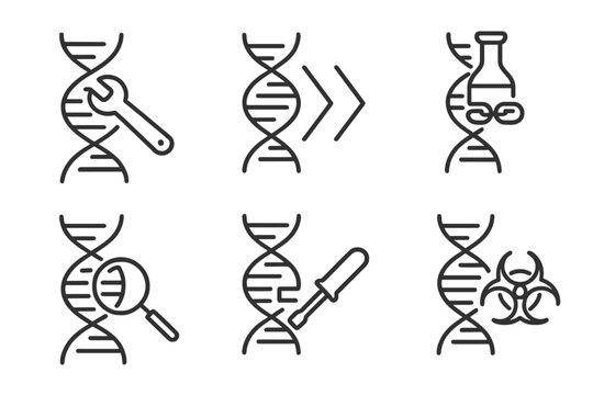 Genetic Engineering Icons. Line style icons of genetic engineering: DNA repair mechanism, homologous recombination, DNA ligase