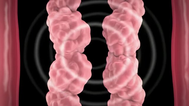 Vocal Cords Vibrating: Detailed 3D animation shows human larynx anatomy producing voice and sound waves for speech communication.