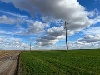 power line in the field