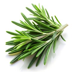 Fototapeta premium fresh rosemary leaves isolated on white background aromatic green herb fresh organic culinary cooking healthy lifestyle