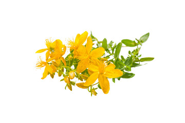 bouquet of yellow flowers