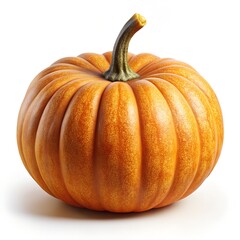 Obraz premium whole pumpkin isolated on white background orange vegetable fresh organic autumn seasonal healthy cooking design concept
