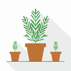 Fototapeta premium Flat design illustration showcasing the concept of growth and development with three green potted plants of varying sizes on a white background