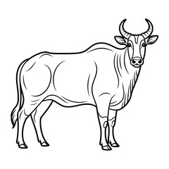 Majestic Nilgai Antelope Line Art Coloring Page for Kids and Adults