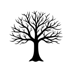 Obraz premium Natural Tree With Branches Silhouette Environment Growth Nature Forest Design