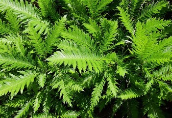  Beautiful HD Wallpaper Images