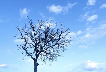  Beautiful HD Wallpaper Images