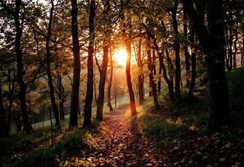  Beautiful HD Wallpaper Images