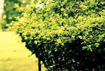  Beautiful HD Wallpaper Images