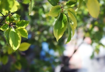  Beautiful HD Wallpaper Images