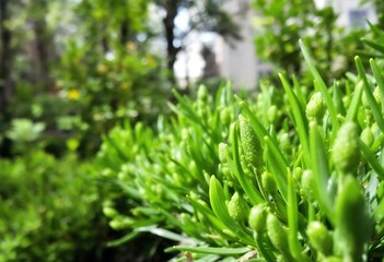  Beautiful HD Wallpaper Images