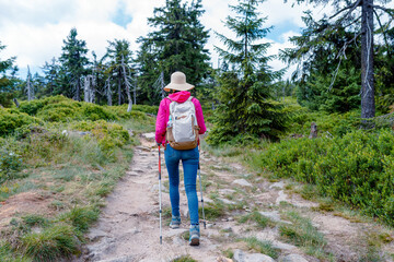 Rear view of a woman hiker in a sun hat and pink jacket walking with trekking poles on a rocky...