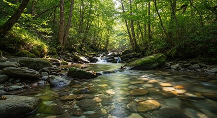 A crystal clear mountain brook flowing rapidly over smooth stones and mossy banks in a sun-dappled temperate forest ,peaceful ,stream ,flowing