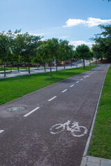 Cycling Path with Divider Line in Green Park
